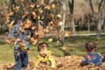 Here's an alt tag for the image: Children playing in autumn leaves.