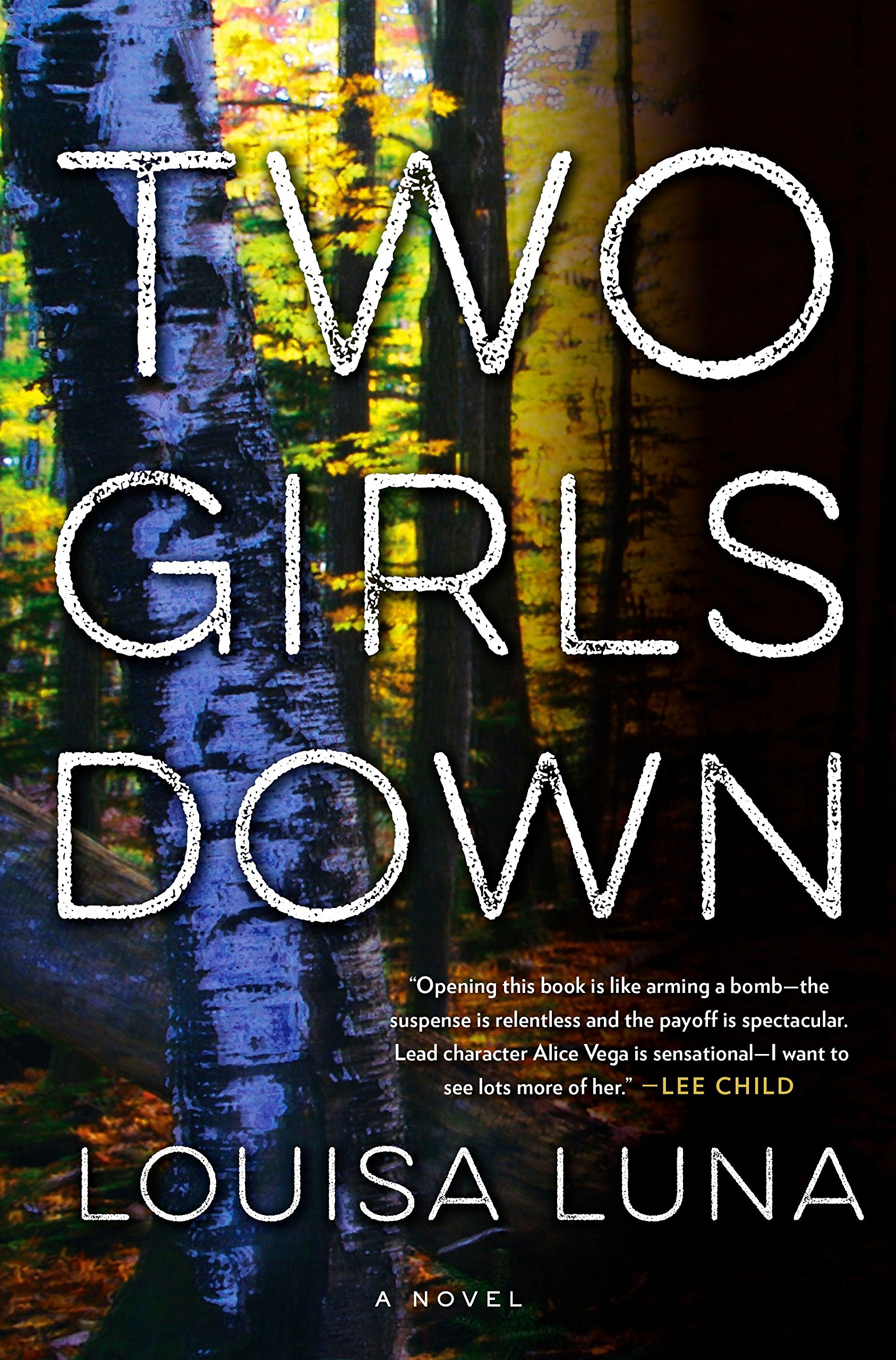 Two Girls Down by Louisa Luna novel.