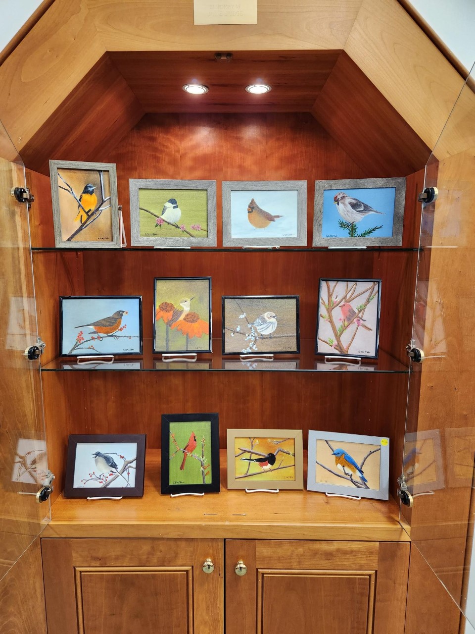 Display case of small bird paintings.